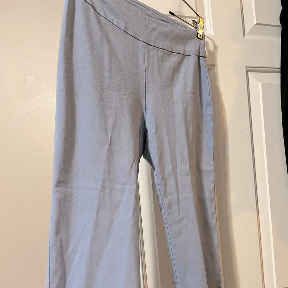 Ankle, business casual light blue cropped dress pants